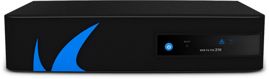 Barracuda Web Security Gateway 210 - BYF210A